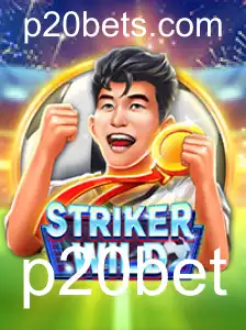 Explorando o Mundo de StrikerWILD: Um Guia Completo